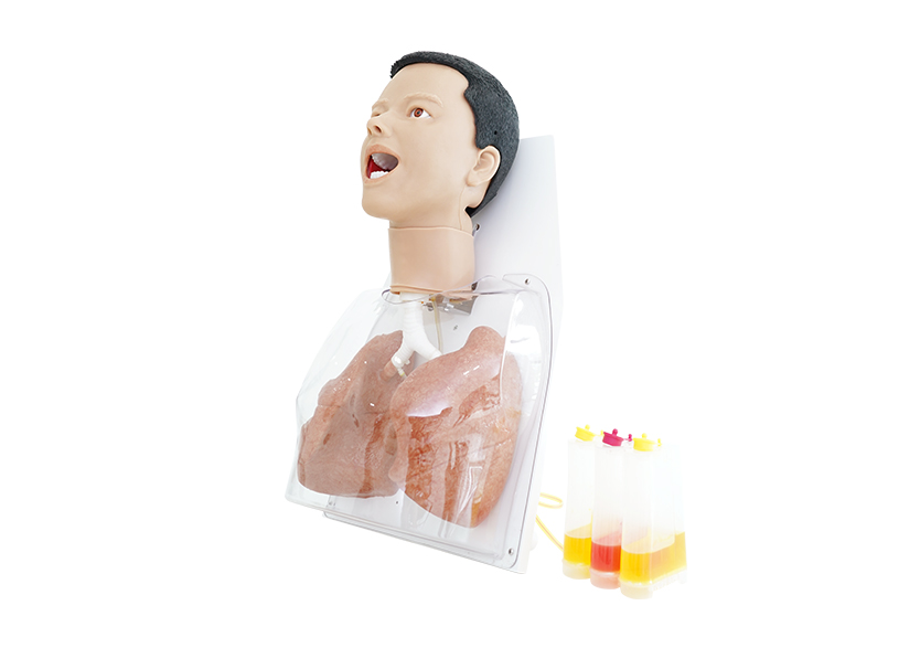 COVID-19综合技能训练模型